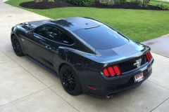 Mustang