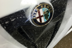 Alfa Romeo 4C Paint Protection Wrap