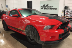 Shelby GT 500 Paint Protection Wrap